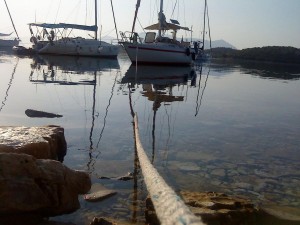 DSC00480 (1)