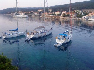 DSC00521 (1)