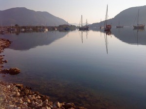 DSC00936 (1)