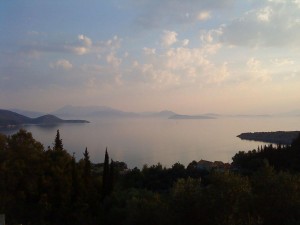 DSC00946 (1)