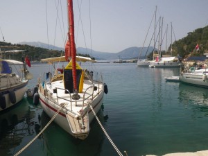 IMGP0004_2 (1)