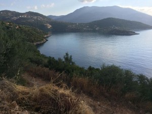 IMG_4263 (1)