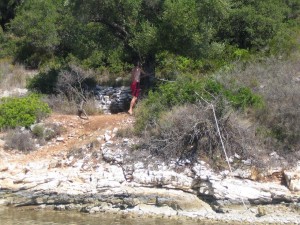 IMG_6047 (1)