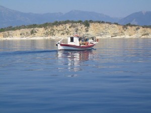 IMG_7092 (1)