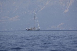 _DSC0030_2 (1)