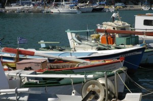 _DSC0080 (1)
