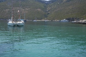 _DSC0170 (1)
